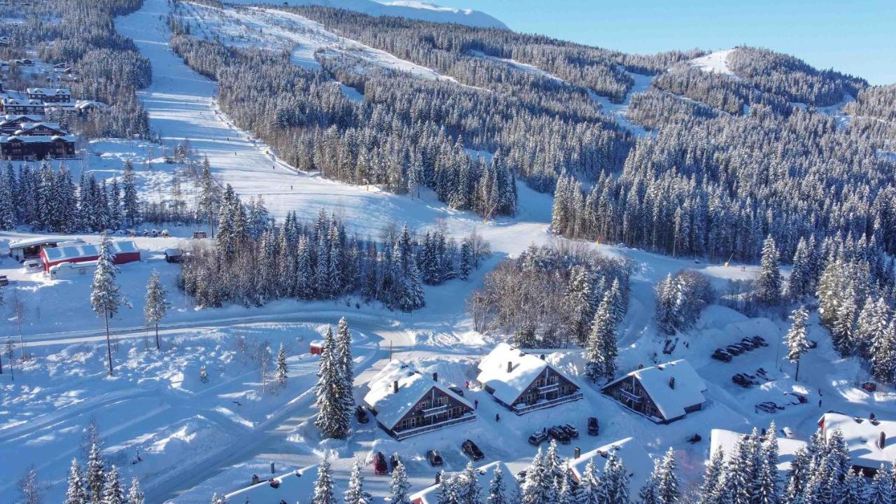 Апартаменты Bakkebyvegen 22B Трисиль Экстерьер фото